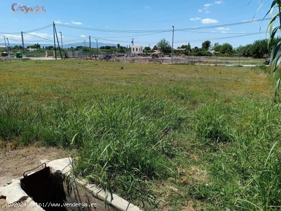 Terreno Rural en Molina  de Segura, Zona de la Hijuela - MURCIA