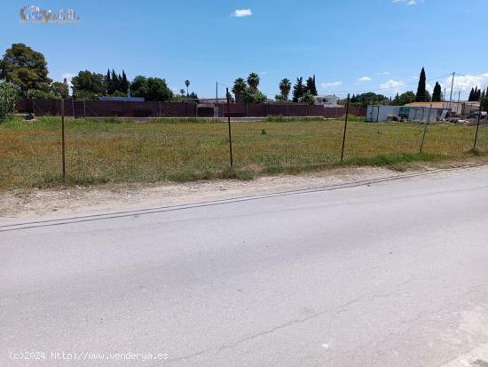 Terreno Rural en Molina  de Segura, Zona de la Hijuela - MURCIA