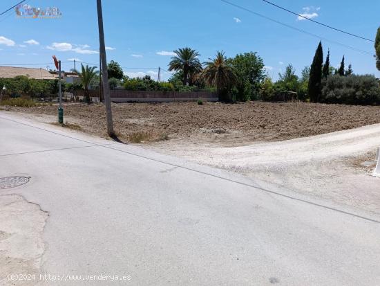 Terreno Rural en Molina de Segura, Zona de La Hijuela - MURCIA