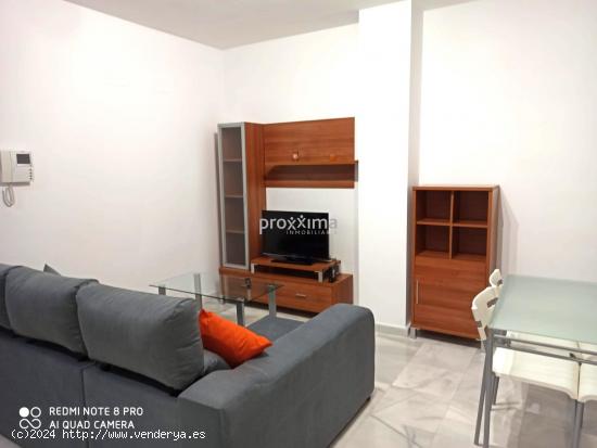 Acogedor apartamento en alquiler. - SEVILLA