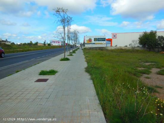 Solar industrial en Campos - BALEARES