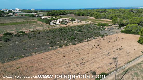 Terreno rústico con pozo de agua - BALEARES