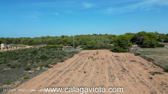 Terreno rústico con pozo de agua - BALEARES