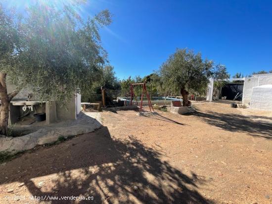 FINCA CON CORTIJO EN ABRUCENA, ALMERIA - ALMERIA