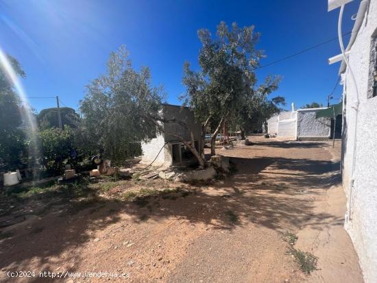 FINCA CON CORTIJO EN ABRUCENA, ALMERIA - ALMERIA