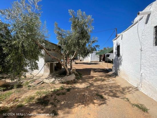 FINCA CON CORTIJO EN ABRUCENA, ALMERIA - ALMERIA