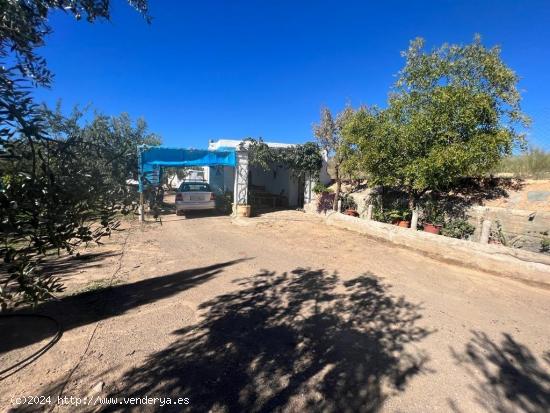 FINCA CON CORTIJO EN ABRUCENA, ALMERIA - ALMERIA