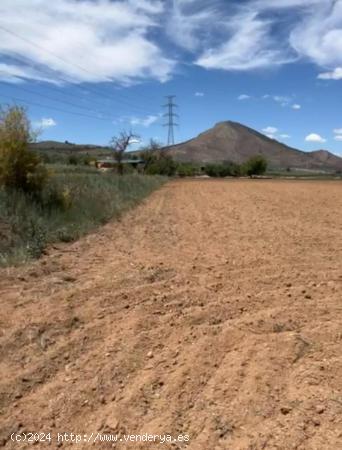 PARCELA RUSTICA EN ALBOLOTE CON POSIBILIDAD DE SEGREGAR EN DOS - GRANADA