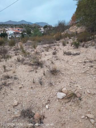 VENTA TERRENO - ALICANTE