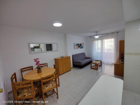 APARTAMENTO PLAYA DE GANDIA - VALENCIA