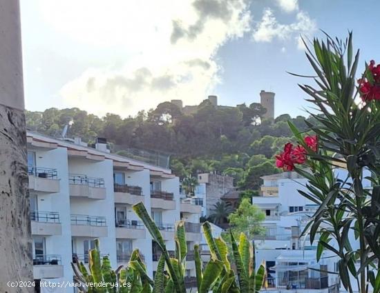 Dúplex -Atico zona El Terreno , con garaje !  A 100mts del Paseo marítimo . - BALEARES