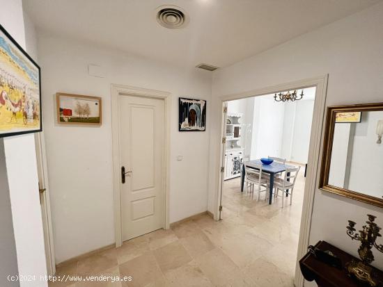  APARTAMENTO DE UN DORMITORIO EN PLENO CENTRO - CADIZ 