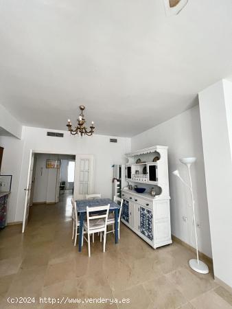 APARTAMENTO DE UN DORMITORIO EN PLENO CENTRO - CADIZ