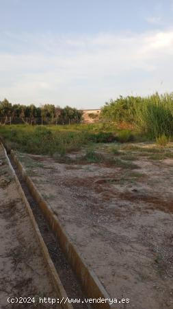 A la venta terreno rural en el Llano de molina, Hondon de Abajo. - MURCIA