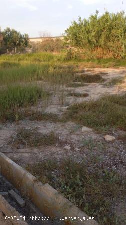 A la venta terreno rural en el Llano de molina, Hondon de Abajo. - MURCIA