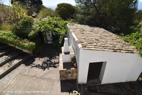 FINCA DE OLIVOS CON CORTIJO EN MONTEFRIO - GRANADA