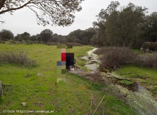  Finca de 15 Hectáreas en Santibáñez el Bajo - CACERES 