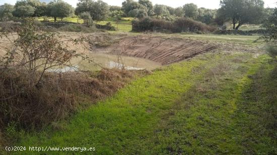 Finca de 15 Hectáreas en Santibáñez el Bajo - CACERES