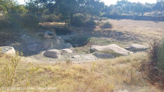 Finca de 15 Hectáreas en Santibáñez el Bajo - CACERES