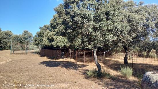 Finca de 15 Hectáreas en Santibáñez el Bajo - CACERES