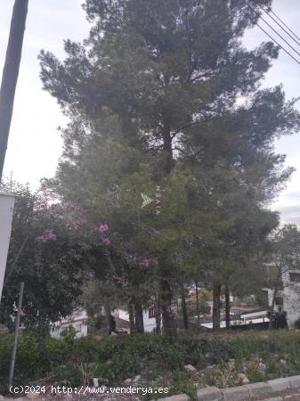 TERRENO EN VENTA CANYELLES- VORA SITGES - BARCELONA