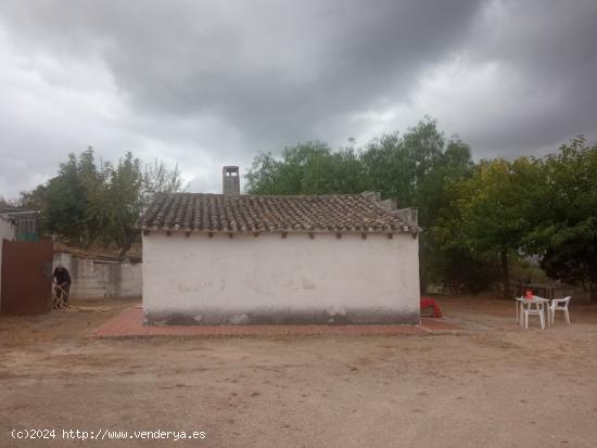  SE VENDE FINCA RUSTICA CON PEQUEÑA CASA Y TERRENO EN COCENTAINA - ALICANTE 