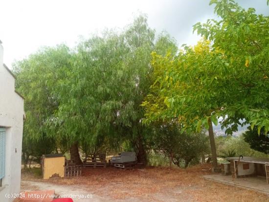 SE VENDE FINCA RUSTICA CON PEQUEÑA CASA Y TERRENO EN COCENTAINA - ALICANTE