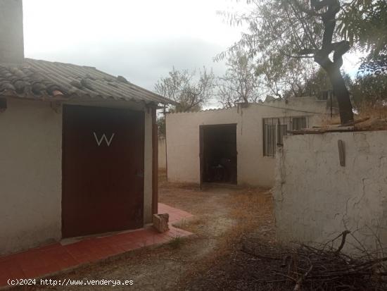 SE VENDE FINCA RUSTICA CON PEQUEÑA CASA Y TERRENO EN COCENTAINA - ALICANTE