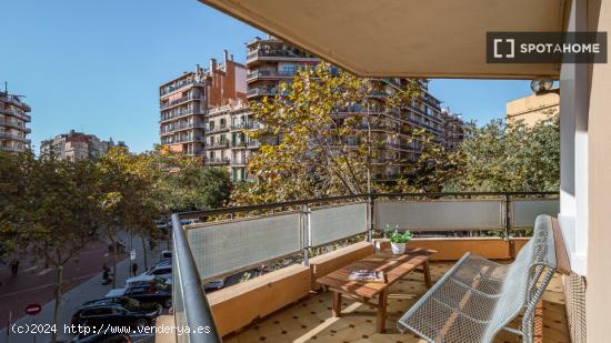 Piso entero de 4 habitaciones en barcelona. - BARCELONA