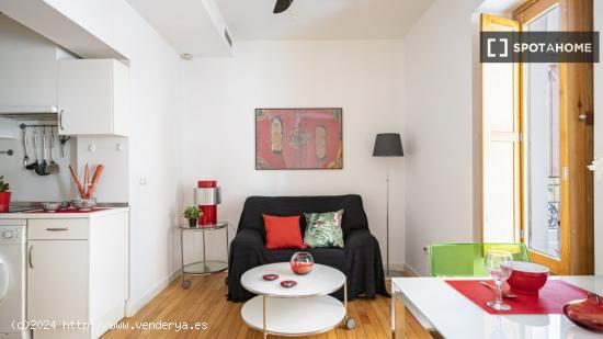 Apartamento entero de 1 habitaciones en Madrid - MADRID