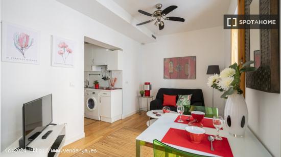 Apartamento entero de 1 habitaciones en Madrid - MADRID