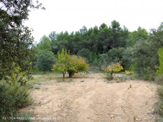 Gran finca con maset en Fórnoles - TERUEL