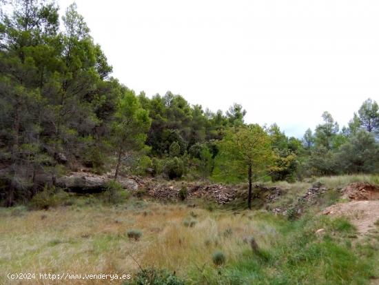 Gran finca con maset en Fórnoles - TERUEL