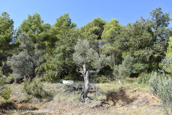  Finca en Horta de Sant Joan con manantial - TARRAGONA 