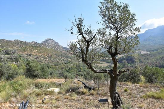 Finca en Horta de Sant Joan con manantial - TARRAGONA