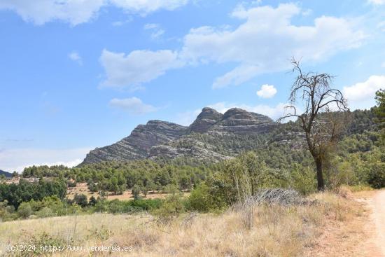 Finca con masía camino a Las Pesqueras - TERUEL