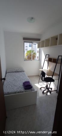 Piso en Venta en CALLE ALCALDE MARCIAL FRANCO - LAS PALMAS