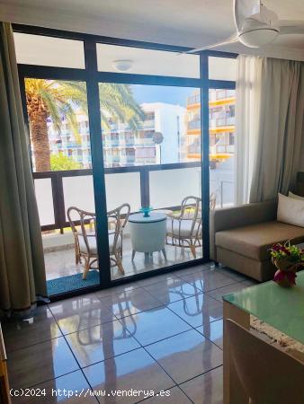 venta de piso en zona Playa del Ingles, APARTAMENTOS AUSTRALIA, - LAS PALMAS