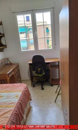 EST/ Bonito piso amueblado para ESTUDIANTES con CUATRO dormitorios en San Francisco Javier - GRANADA