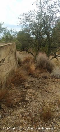 Finca con Molino, pozo y balsa - TARRAGONA