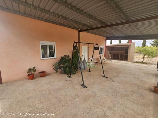  FINCA DE REGADIO CON CONSTRUCCIONES EN BALSAPINTADA - MURCIA 