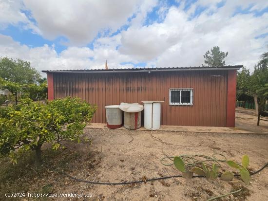 FINCA DE REGADIO CON CONSTRUCCIONES EN BALSAPINTADA - MURCIA