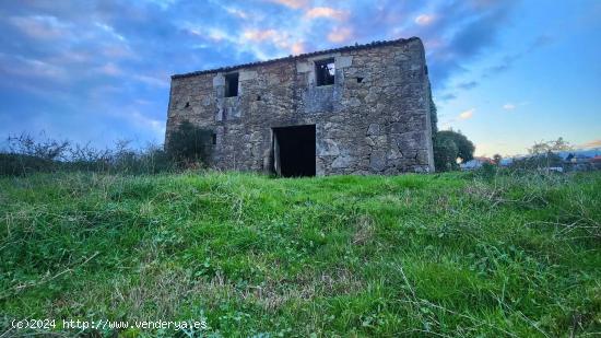 Descubre la Finca Xian, ¡invierte en tu viñedo soñado! - A CORUÑA