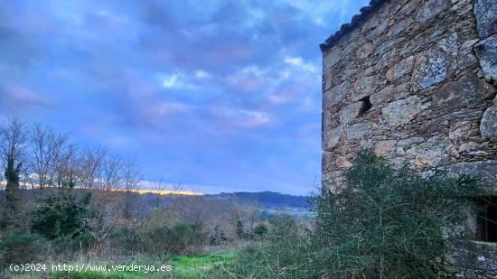 Descubre la Finca Xian, ¡invierte en tu viñedo soñado! - A CORUÑA