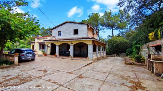 MAGNÍFICA FINCA RÚSTICA EN COSTITX, TOTALMENTE LEGAL, CON CÉDULA Y CERTIFICADO ENERGÉTICO - BALE