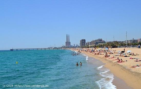 LOCAL EN ALQUILER EN BADALONA CENTRO - BARCELONA