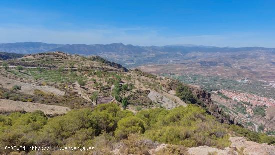 Finca rústica en venta en Camino de la Rinconada ( El Pinillo) - GRANADA