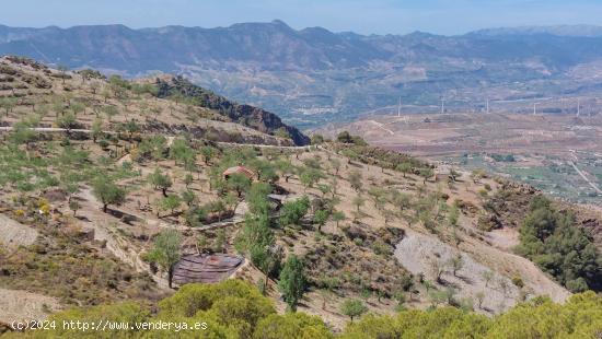 Finca rústica en venta en Camino de la Rinconada ( El Pinillo) - GRANADA