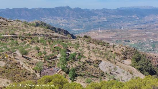 Finca rústica en venta en Camino de la Rinconada ( El Pinillo) - GRANADA