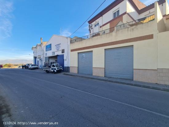 Local comercial 300m. - GRANADA